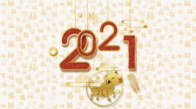 happy chinese new year 2021 dgbell